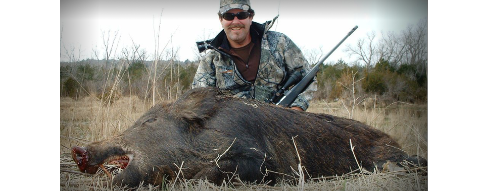 How do you go on cheap wild hog hunts in the United States?